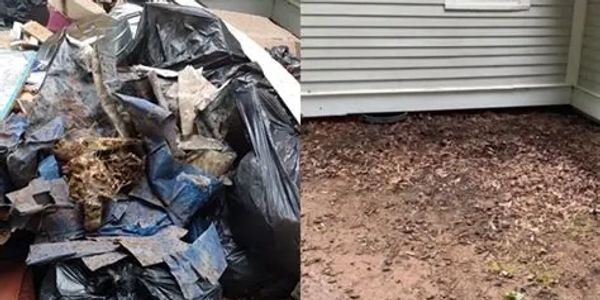 Side-by-side comparison of a cluttered yard before and cleaned yard after.