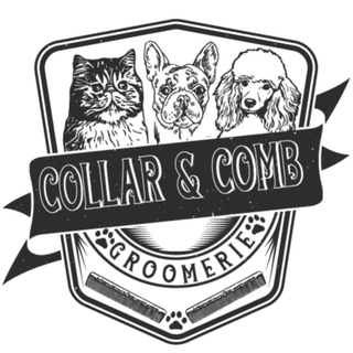 Collar Pet Boutique 