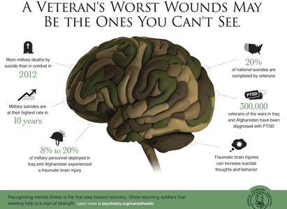 Military brain injury stats.