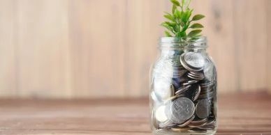 A jar filled with coins and a small plant growing from it.