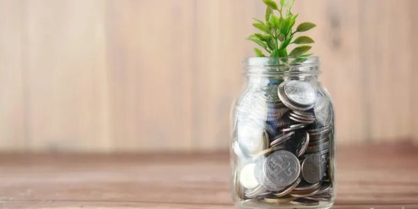 A jar filled with coins and a small plant growing from it.