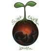 Sweetearthbirth llc