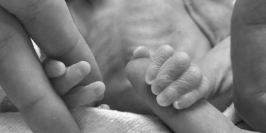 Newborn baby holding an adult's finger.