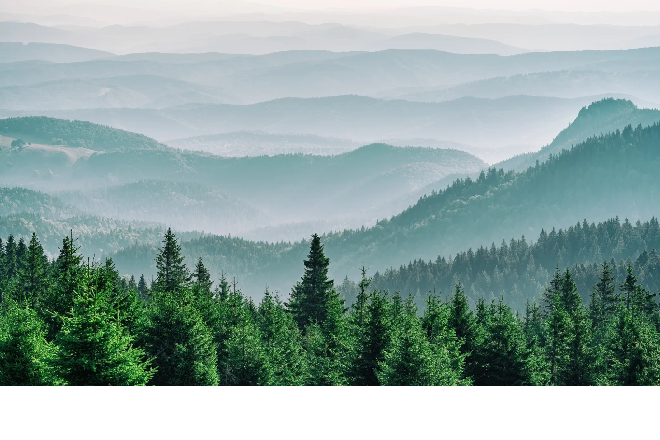Build Balance Bloom Integrative Health Solutions at Balance + Bloom