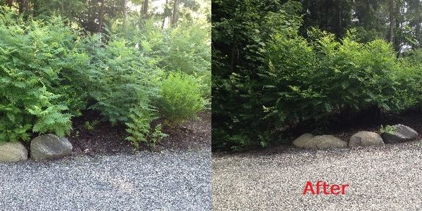 Habitat modification for mosquito control - before and after photo.