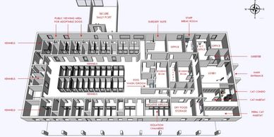 Floor plan of an animal shelter with kennels, cat habitats, and various rooms.