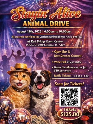 Charity event poster featuring a cat and dog with disco balls and event details.