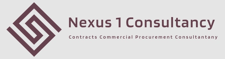 Nexus 1 Consultancy