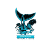 Ocean 2 Ocean Events