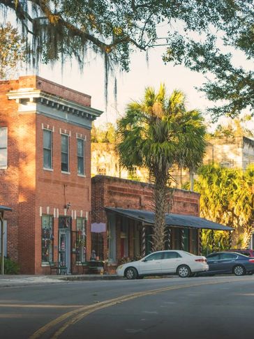Gainesville Florida Trees Alachua Reddick Ocala Removal Preservation Marion Williston Newberry Stark 
