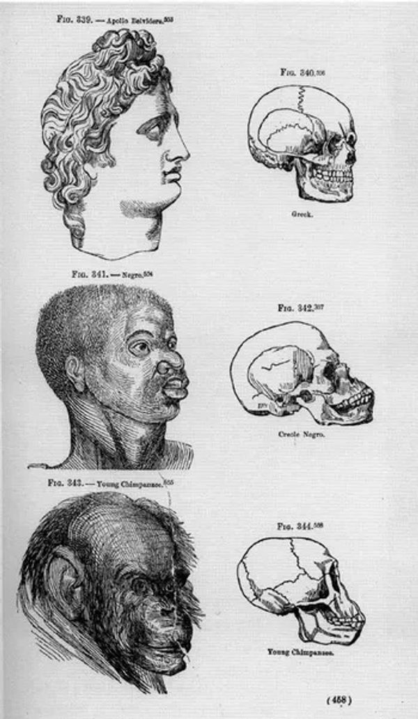 https://i0.wp.com/medicalhealthhumanities.com/wp-content/uploads/2018/06/urn-cambridge-org-id-binary