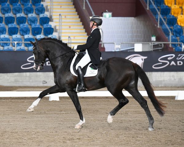 Equestrian performing dressage in arena.