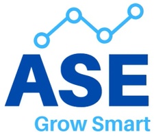 ASE Advisors