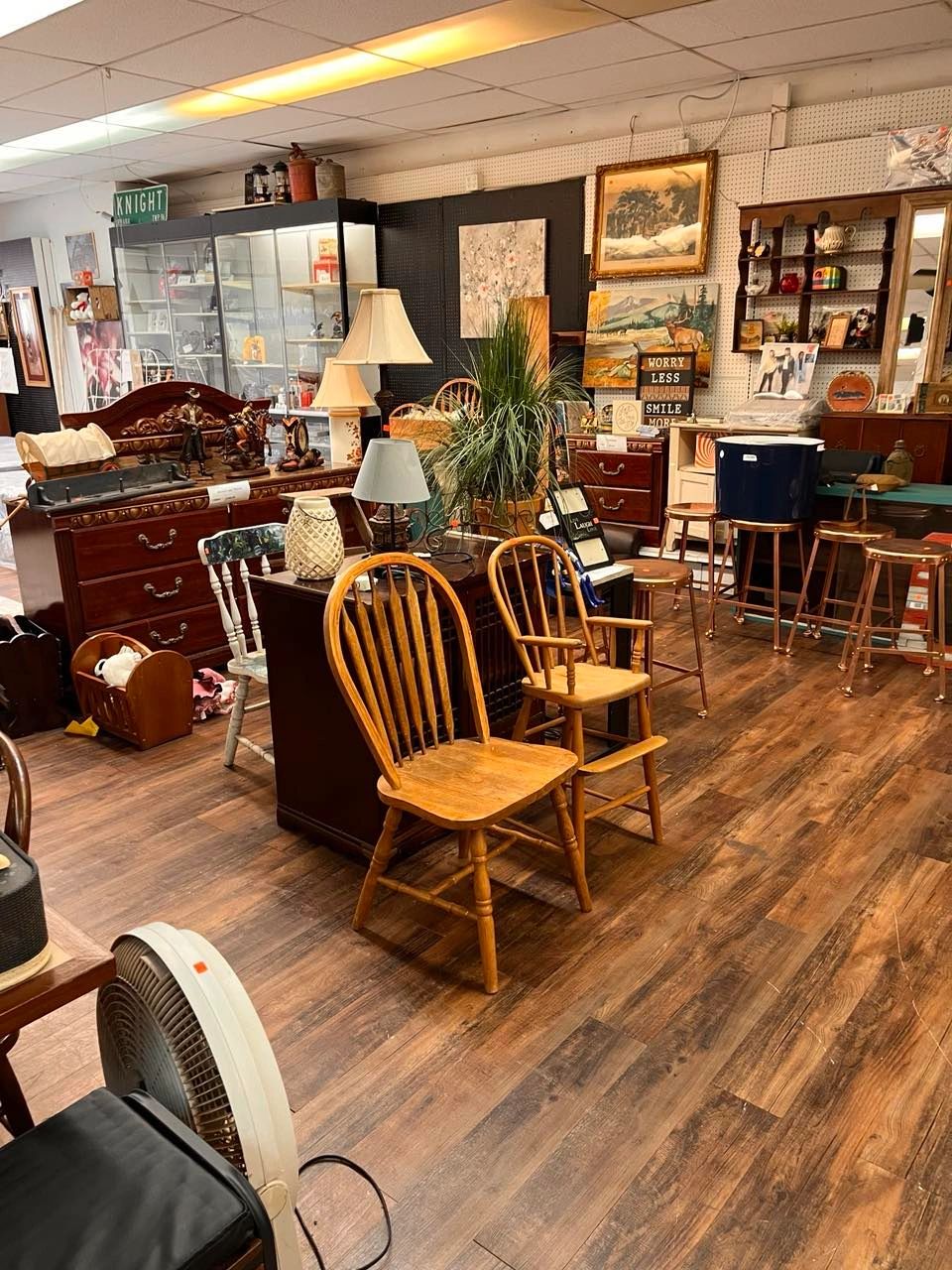 Bear Bargains Your Springfield Source for Unique Finds