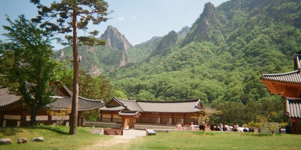 Traditional buildings with mountainous forest backdrop under a clear sky.