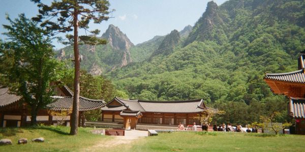 Traditional buildings with mountainous forest backdrop under a clear sky.