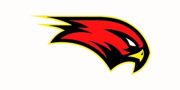 Team Mississippi Flag Football  Tribalhawks Logo