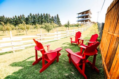 Four red Adirondack chairs arranged in a grassy backyard with a wooden fence and trees.