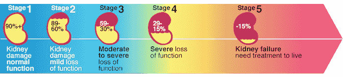 Stages of CKD | Dr. Ramesh Yelanati- MD, DM