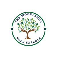 The Woodlands Tree Experts