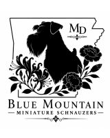Blue Mountain Miniature Schnauzers
