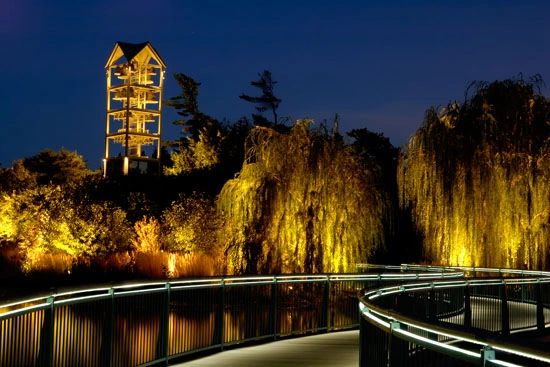 botanic_garden_at_night-sm.jpg