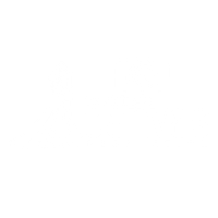 Weddings Canvas Production