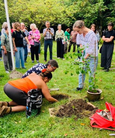 People planting a tree in a park.