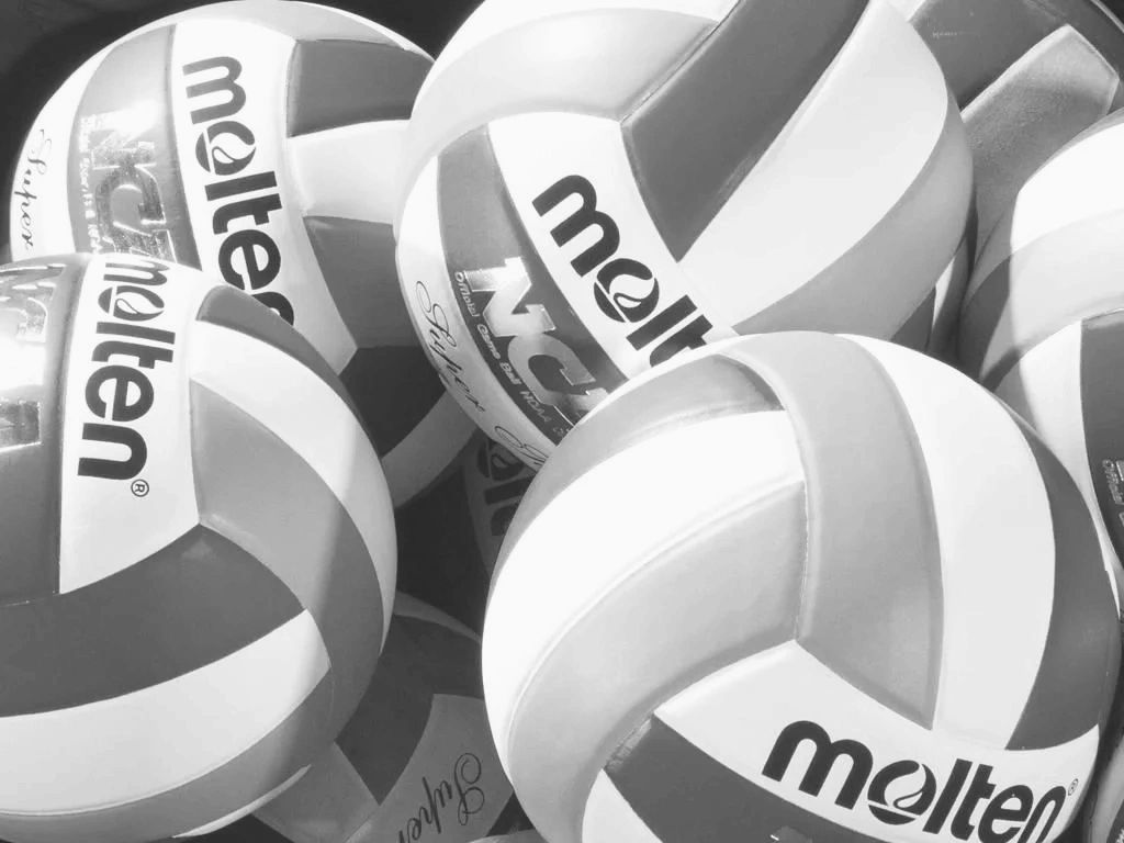 NYCLI Volleyball Club