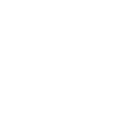 Venice Florida Boat Tours