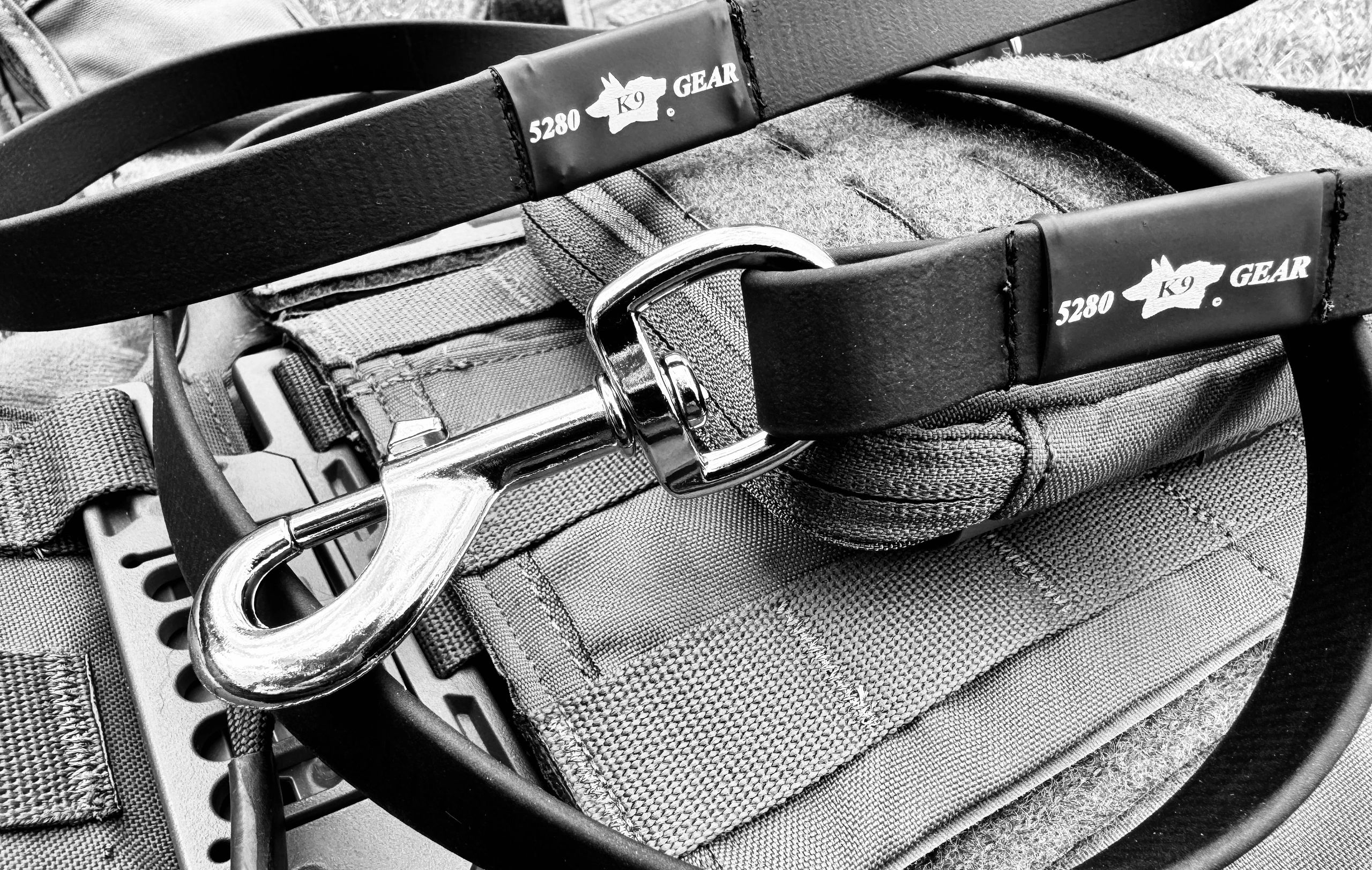 HighQuality Dog Leashes & Leads 5280 K9 Gear