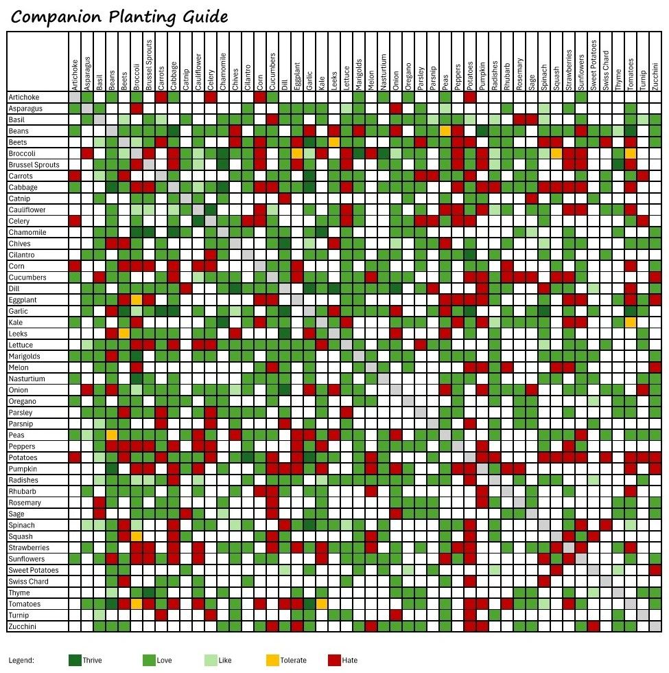 Companion Planting Chart