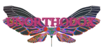 UNORTHODOX 