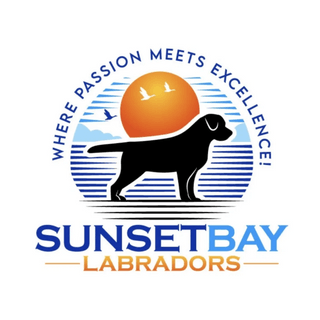 Where Passion Meets Excellence