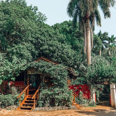 Mango Inn tucked into tropical forest Utila Dive Center accommodations