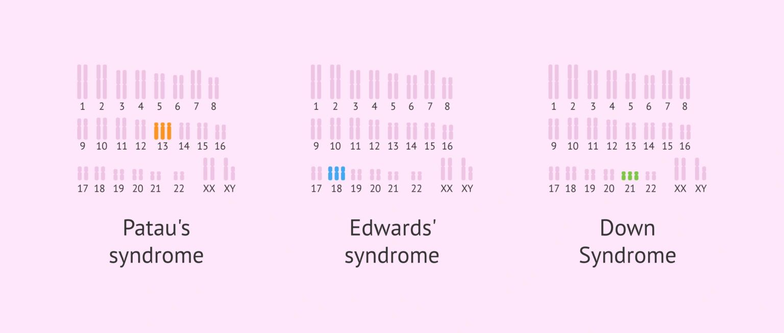 减数分裂和生育力之间有什么关系，有必要吗？