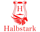 Escuela  de música Halbstark