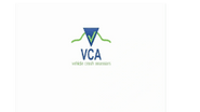 vehicle crash assessor