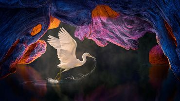 Ephemeral Light by Hendro Soetrisno