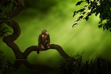 Emergence by Hendro Soetrisno