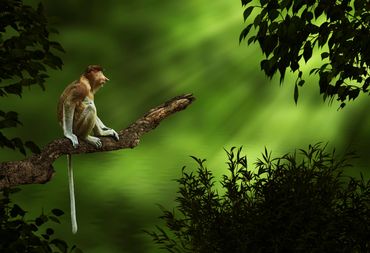 Perched in Light by Hendro Soetrisno