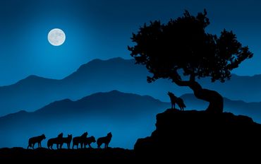 The Lesser Light to Govern the Night by Hendro Soetrisno