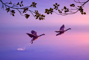 Until Death Do Us Part by Hendro Soetrisno