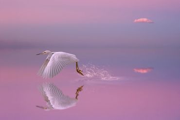 Time to Go Home by Hendro Soetrisno