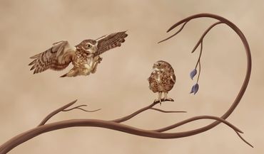 Boys Will Be Boys by Hendro Soetrisno