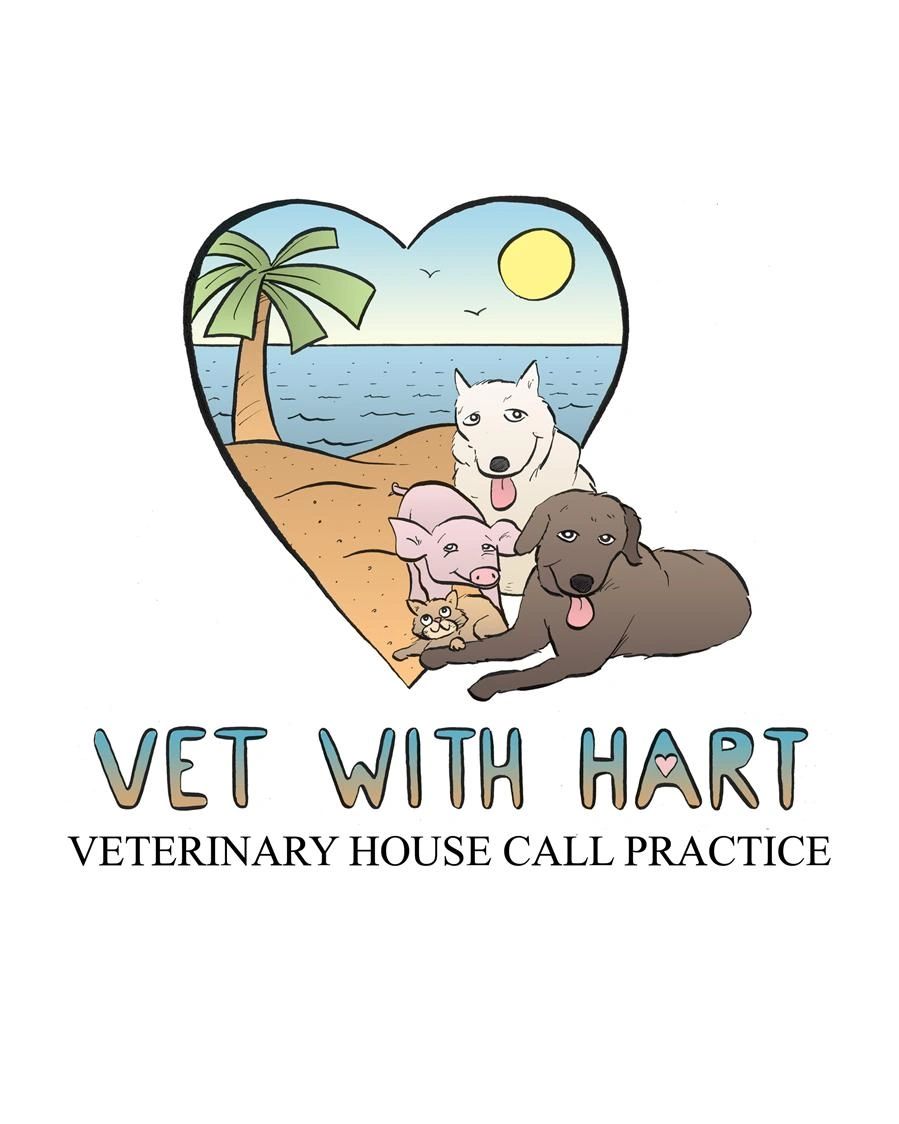 Gulfport Veterinary Hospital