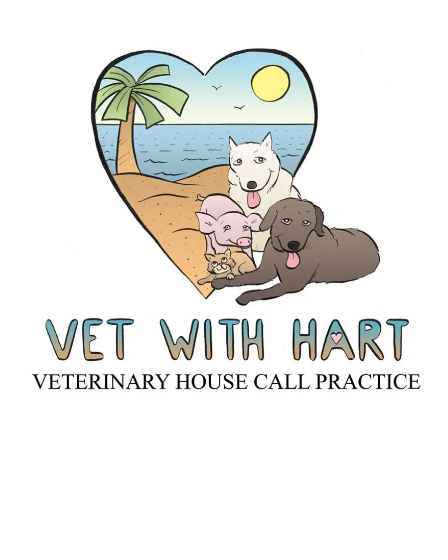 in-home-euthanasia