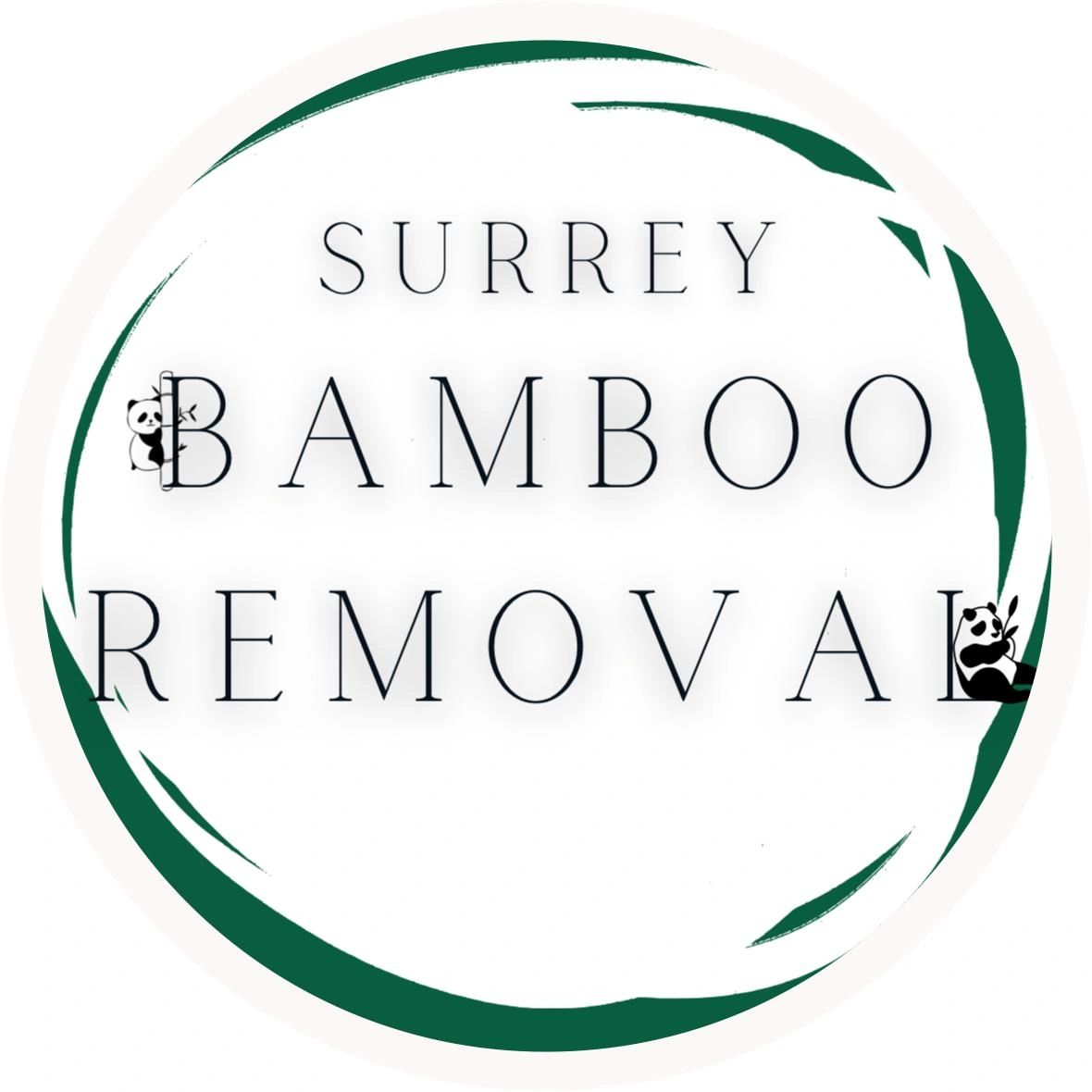 Expert Bamboo Removal Company Surrey Bamboo Removal