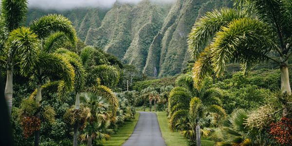 Landschaftsbild aus Hawaii.