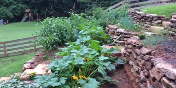 Stone wall garden